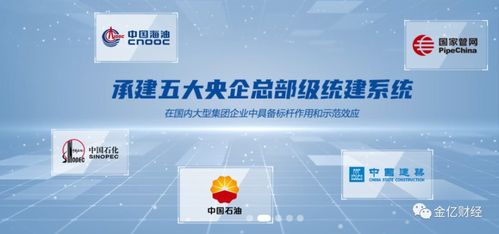 軟件 王 ,承建央企軟件系統(tǒng),自主可控,誰會是下一個華為鴻蒙