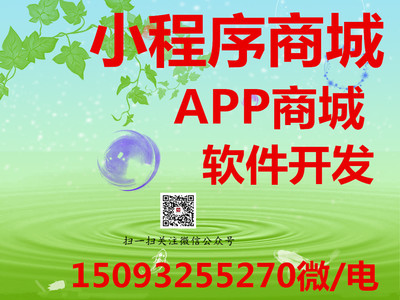 小程序商城軟件系統(tǒng)源碼開發(fā)定制