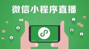 新風口 小程序直播月銷100萬,加速社交電商直播變現(xiàn)